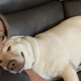 Entry image for Birdie