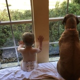 Entry image for Dixie