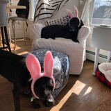 Entry image for Mary and Minnie