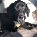 Entry image for Mary