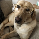 Entry image for Owen