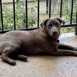 Entry image for Coco