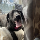 Entry image for Winnie