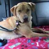 Entry image for Skye