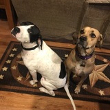 Entry image for Gemma & Willow