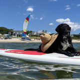 Entry image for Summit