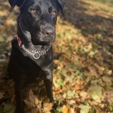 Entry image for Nate 