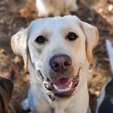 Entry image for Miller