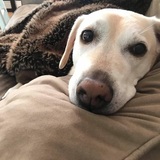 Entry image for Somer