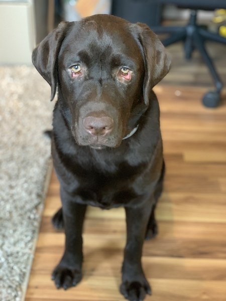 Entry image for Tank. Clicking this image will show a larger photo