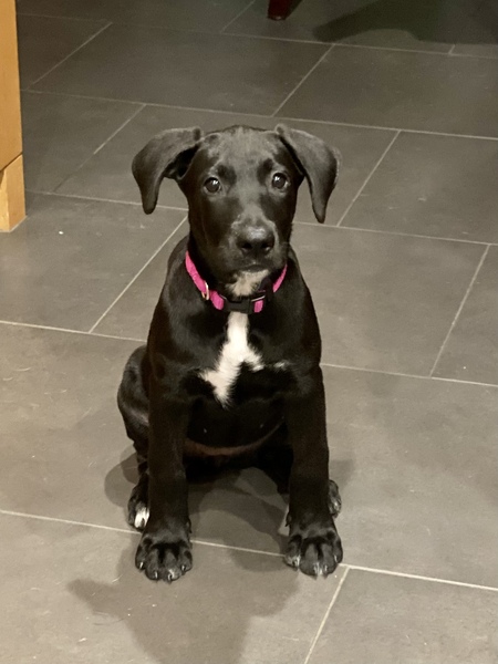 Entry image for Jasmine Grace. Clicking this image will show a larger photo