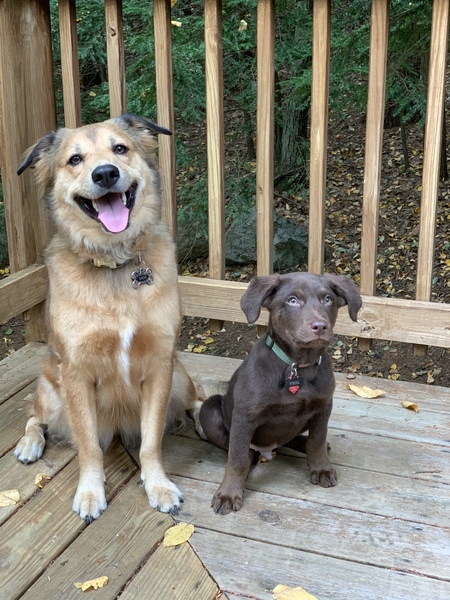 Entry image for Sadie and Phil. Clicking this image will show a larger photo