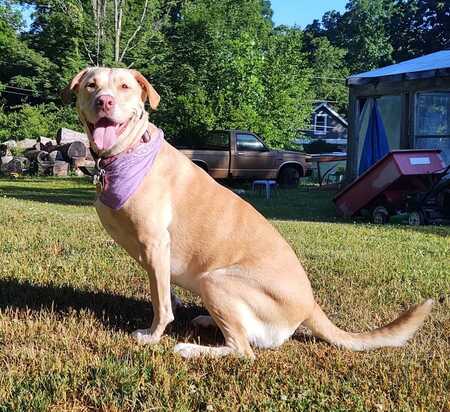 Entry image for Sandy. Clicking this image will show a larger photo