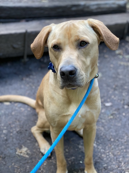 Entry image for Cody. Clicking this image will show a larger photo