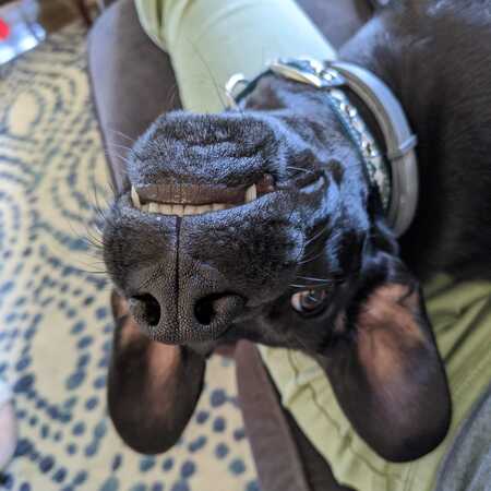 Entry image for Ru. Clicking this image will show a larger photo