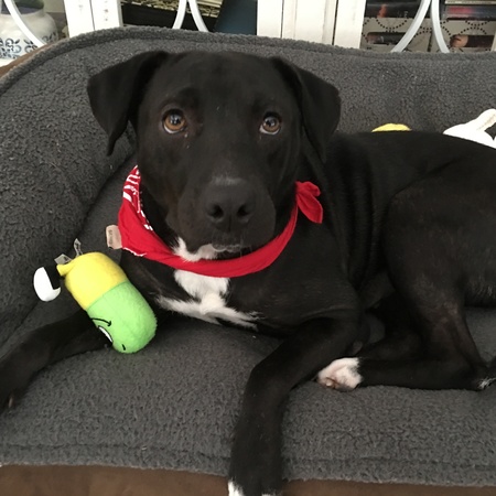 Entry image for McKinley. Clicking this image will show a larger photo