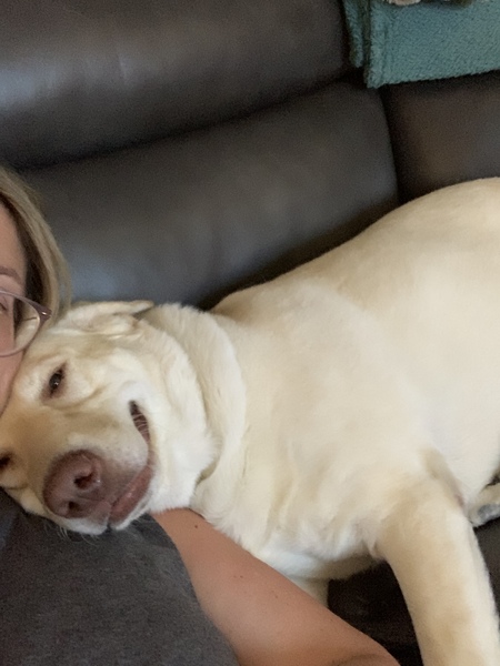 Entry image for Birdie. Clicking this image will show a larger photo