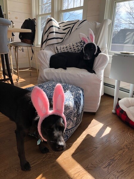 Entry image for Mary and Minnie. Clicking this image will show a larger photo