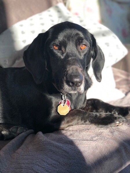 Entry image for Mary. Clicking this image will show a larger photo