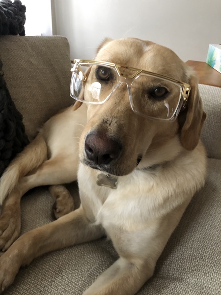 Entry image for Owen. Clicking this image will show a larger photo