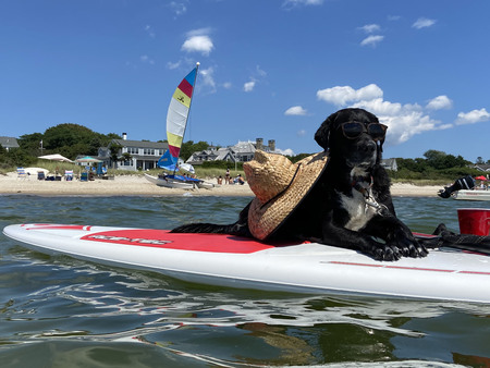 Entry image for Summit. Clicking this image will show a larger photo