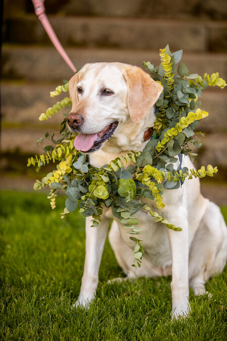 Entry image for Lexington. Clicking this image will show a larger photo