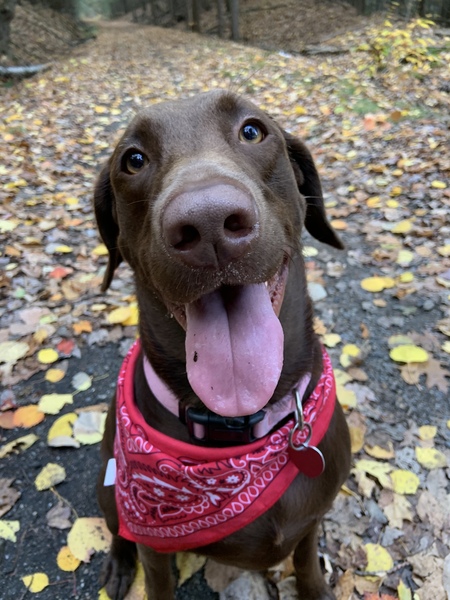 Entry image for Del. Clicking this image will show a larger photo