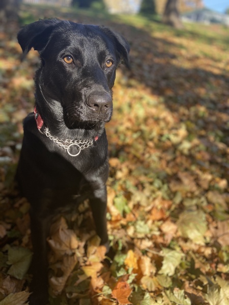 Entry image for Nate . Clicking this image will show a larger photo