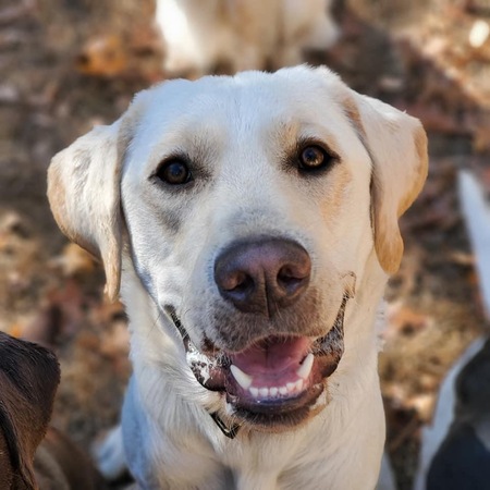 Entry image for Miller. Clicking this image will show a larger photo