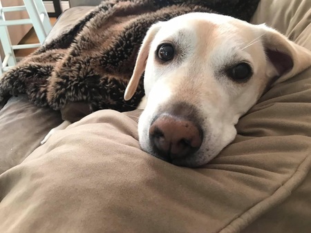 Entry image for Somer. Clicking this image will show a larger photo