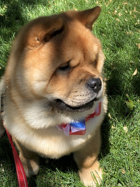 Leo