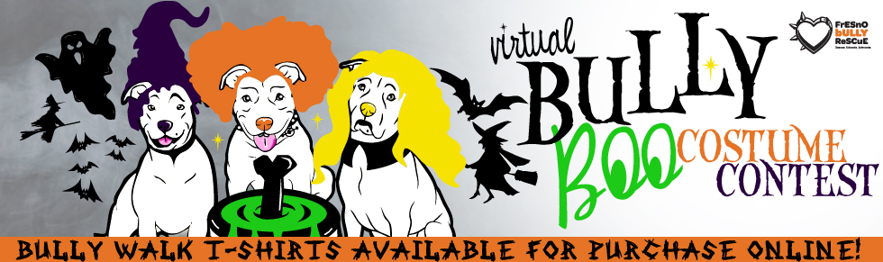 Banner for Bully BOO! Virtual Costume Contest