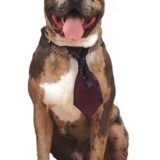 Entry image for Ares