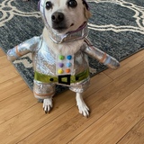 Entry image for Gunner the space traveler 