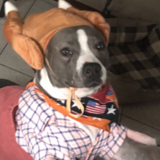 Entry image for Giving Thanks to my new Family...Mazie Moo