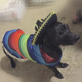 Entry image for Hola Mi Amigos 