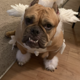 Entry image for Earth Angel 