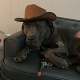 Entry image for There’s a new sheriff in town!