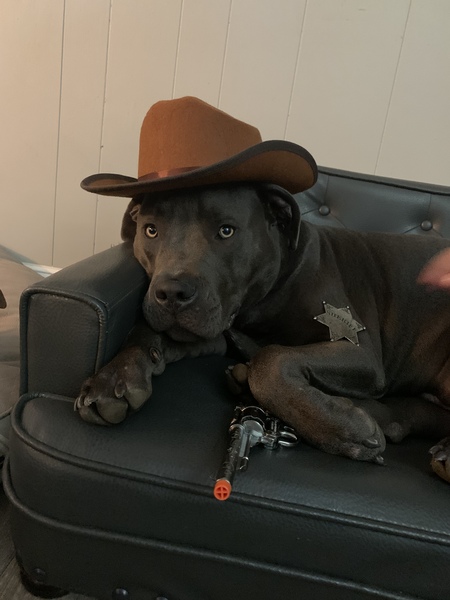 There’s a new sheriff in town!