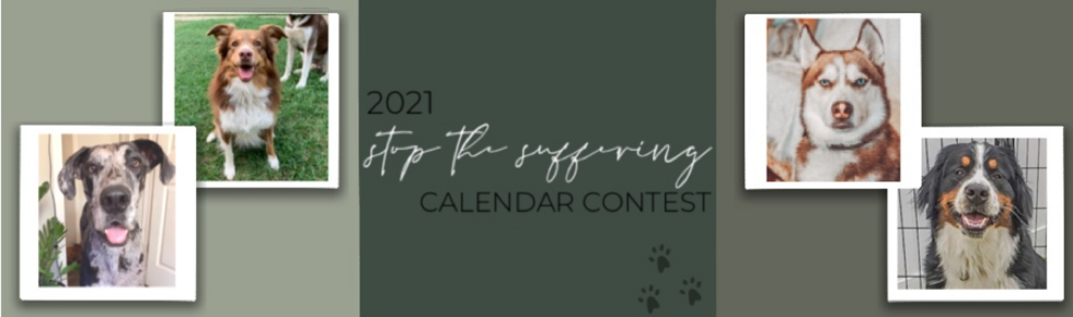 Banner for Stop the Suffering 2021 Calendar Photo Contest