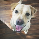 Entry image for Cali