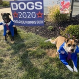 Entry image for Luna and Hyde