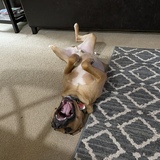 Entry image for Linkin