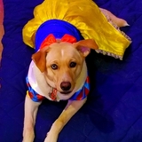 Entry image for Jolyne "JoJo"