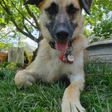 Entry image for Staci