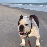 Entry image for Henry