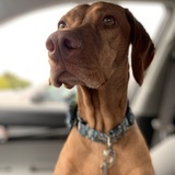 Entry image for Carly