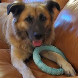 Entry image for Boone