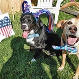 Entry image for Baker & Urban