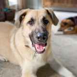 Entry image for Tonka